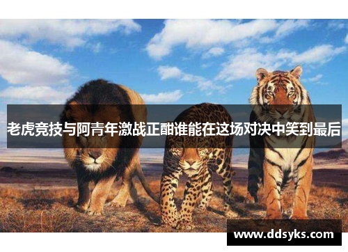 老虎竞技与阿青年激战正酣谁能在这场对决中笑到最后